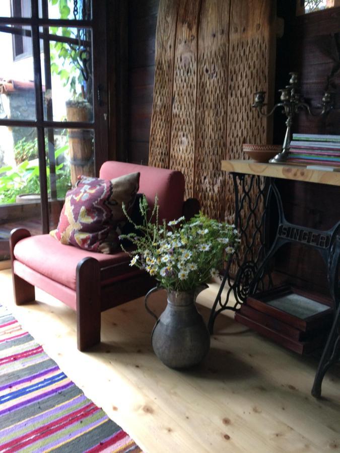 קופריבשטיצה Darina Guest House מראה חיצוני תמונה